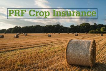 PRF Crop Insurance